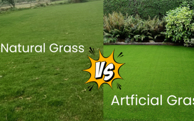 Natural vs Artificial Turf: Which Is the Better Choice?